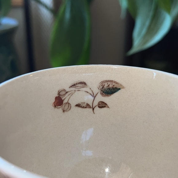 Vintage Johnson Bro Fruit Sampler Cup + Saucer Staffordshire Old Granite England - Picture 9 of 13